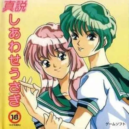 Shinsetsu Shiawase Usagi (Japan) (Unl)