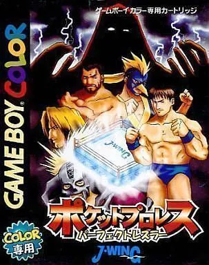 Pocket Pro Wrestling - Perfect Wrestler (Japan)