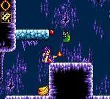 Snapshot